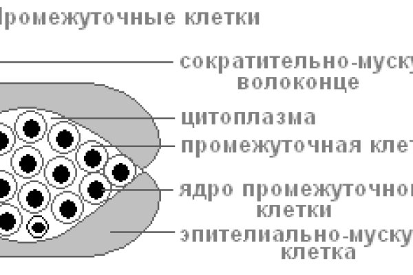 Kraken вход и ссылки